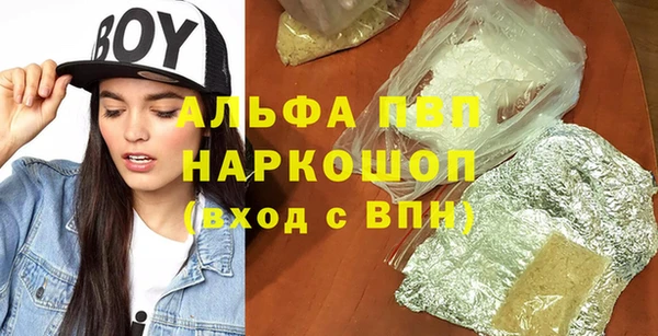 бошки Бородино