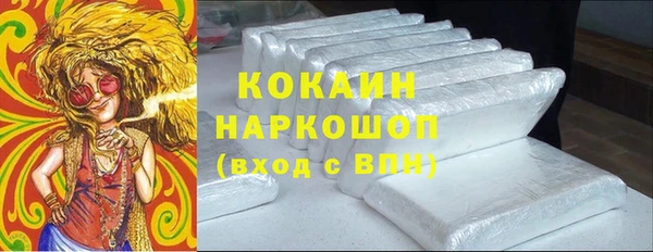 бошки Бородино